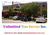 Best Tree Care and Tree Service Burtonsville, Maryland