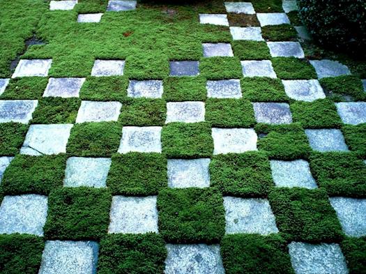 Chess-Styled Green Backyard