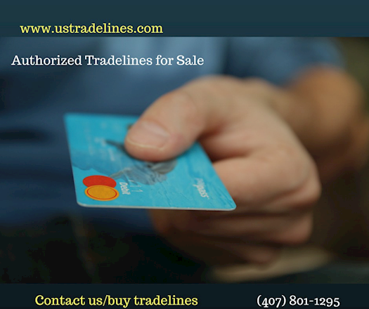 Authorized User Tradelines for Credit Repair