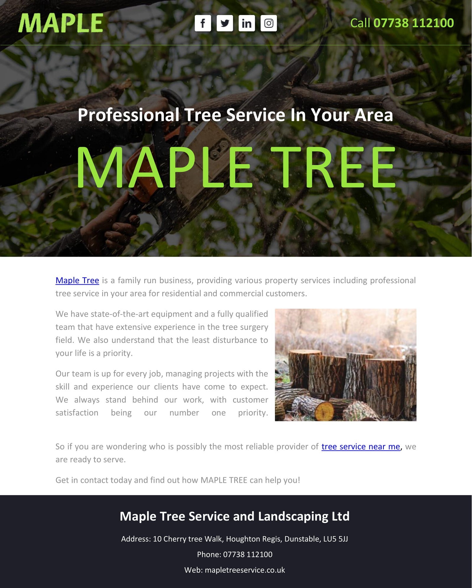 Professional Tree Service In Your Area - MAPLE TREE
