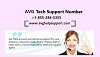 AVG Tech Support Number +1-855-284-5355