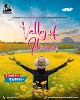 Looking For  Valley of Flowers Tour Package