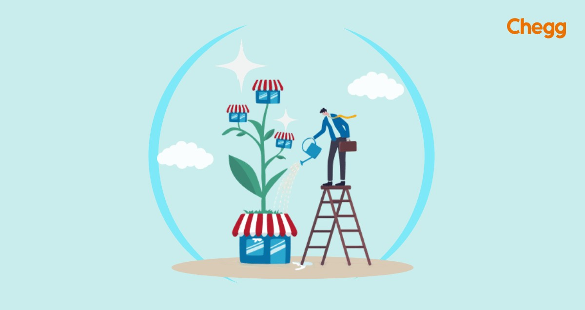 11 Steps to Entrepreneurship Development: Start and Grow a Business