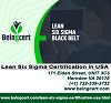 Lean Six Sigma Certifications in USA