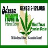 West Texas, Permian Basin NORML Interest Group 