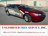 Tree Service Baltimore - Professional, Expert, Tree Removal Company 