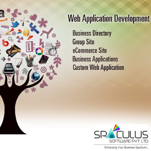 Spaculus - Leading Web Application Development Company in India 