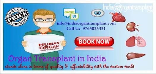 Organ Transplant in India stands alone in terms of quality