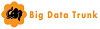 Big data Trunk Logo