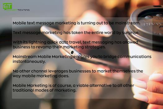 Mobile text message marketing is turning out to be mainstream. 