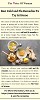 Best Cold And Flu Remedies
