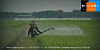 Agrochemical And Pesticide Markets Trends, Size, And Forecasts 2020 