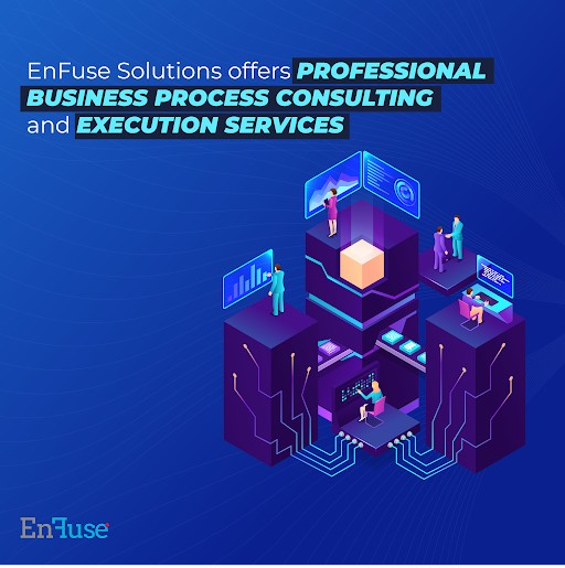 Business Process Consulting and Execution Services - EnFuse Solutions