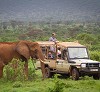Kenya camping safaris 