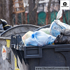 Yard Waste Removal Alpharetta |The Junk Tycoons