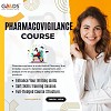 Advance Your Career in Drug Safety: Premier Pharmacovigilance Courses in India.