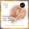 Himalayan Salt Licks Natural Pink Minerals From Pakistan | Equi Style