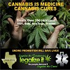 Cannabis Is Medicine