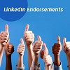 Buy 250 LinkedIn Endorsements