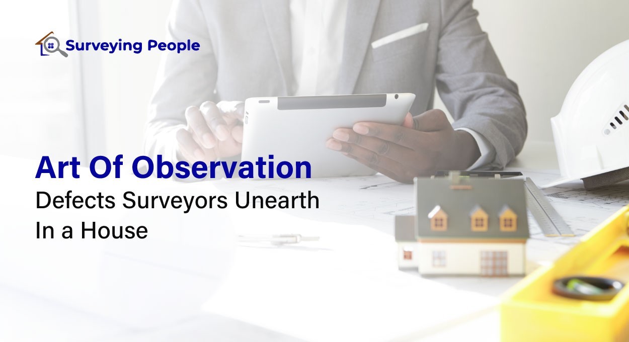 Art of Observation: Defects Surveyors Unearth in a House