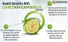 Garcinia Cambogia Capsules 