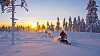 Discover the Wonder and Majesty of Lapland