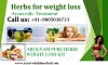 Lose Weight With Arogyam Pure Herbs Weight Loss Kit http://www.ayurvedahimachal.com/pure-herbal-prod