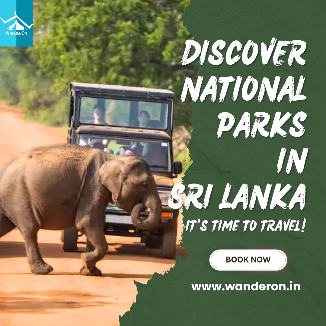 Serene Splendor: Discovering Sri Lanka's National Parks 