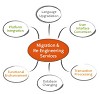 Software Migration and IT Solutions