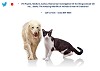Animal Communication Courses & Pet Loss, Deceased