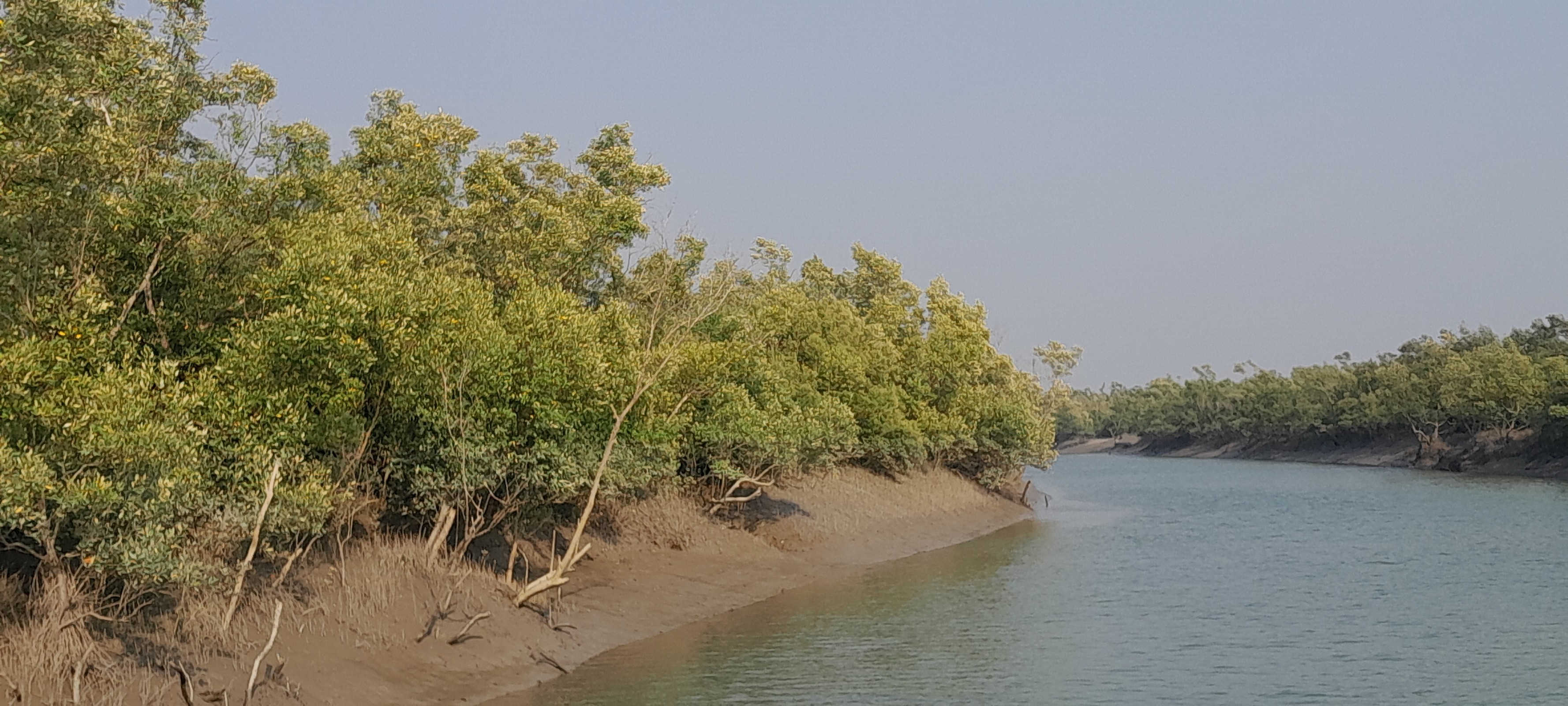 Sundarban Package tour from Kolkata