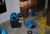 iMold US Water Damage & Mold Removal Service Naples
