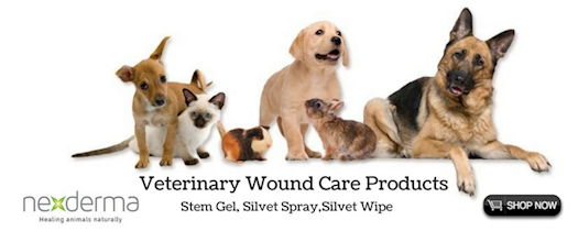 pet wound care products