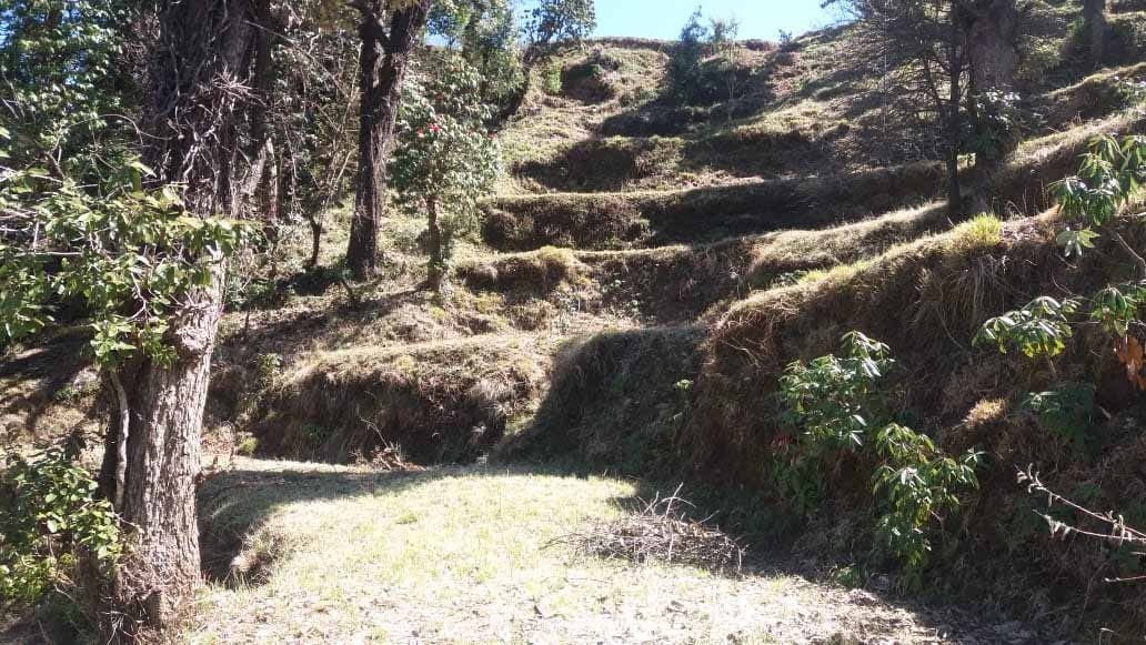 Property In Mukteshwar