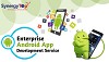 Enterprise Android App Development in Your Budget