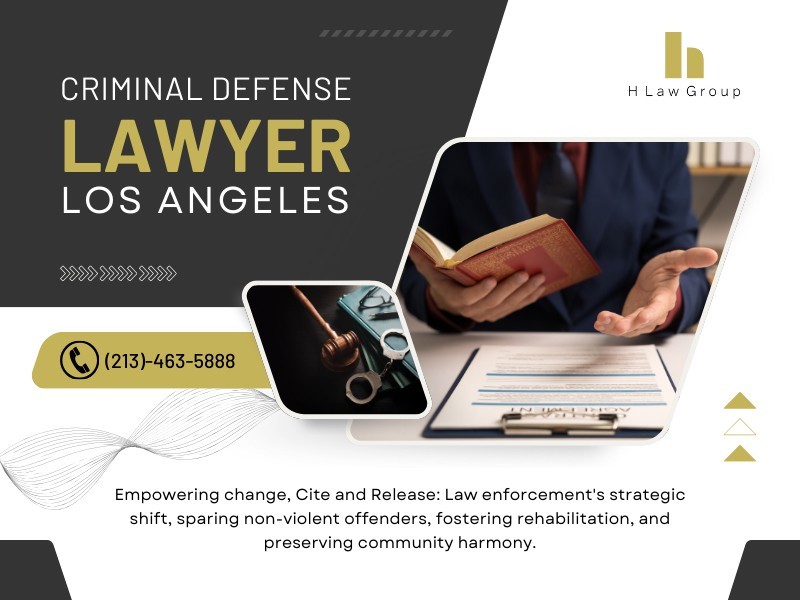 Criminal Defense Lawyer Los Angeles