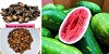 Ways to consume Watermelon seeds