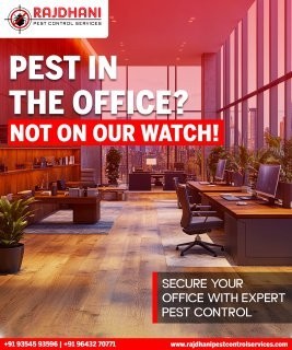 Say Goodbye to Termites with Proven Treatments | Rajdhani Pest Control
