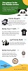 Shop Best Panda Collections Online | Panda Stuff