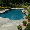 Pool Genie