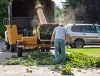 tree removal bloomington mn