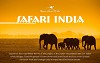 Luxury Safari Travel Destinations