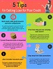 Five Tips for Getting Loan for Poor Credit