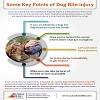 Some Key Points of Dog Bite Injury