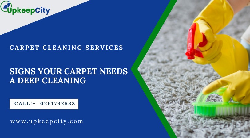 Signs Your Carpet Needs a Deep Clean
