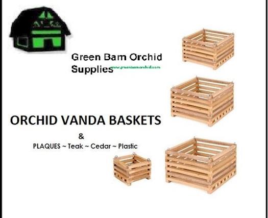 Shop beautiful vanda baskets online in Florida | Green Barn Orchid Supplies