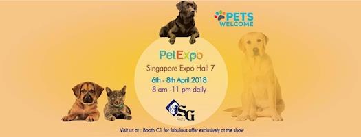 Pet Expo ( Solid Gold)