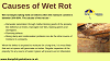 Wet Rot Specialists in Yorkshire
