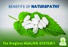 5 Benefits of Naturopathy- The Drugless Healing System!!