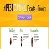 Pest Control Toronto 